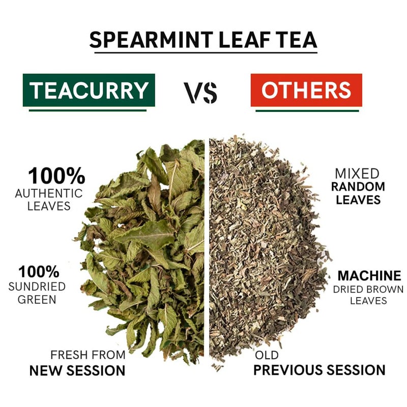 TEACURRY Spearmint Tea - For PCOS, PCOD, Hormonal Balance, Acne, Pimples & Unwanted Facial Hair (100Gm) - Image 4