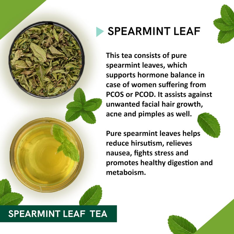 TEACURRY Spearmint Tea - For PCOS, PCOD, Hormonal Balance, Acne, Pimples & Unwanted Facial Hair (100Gm) - Image 3