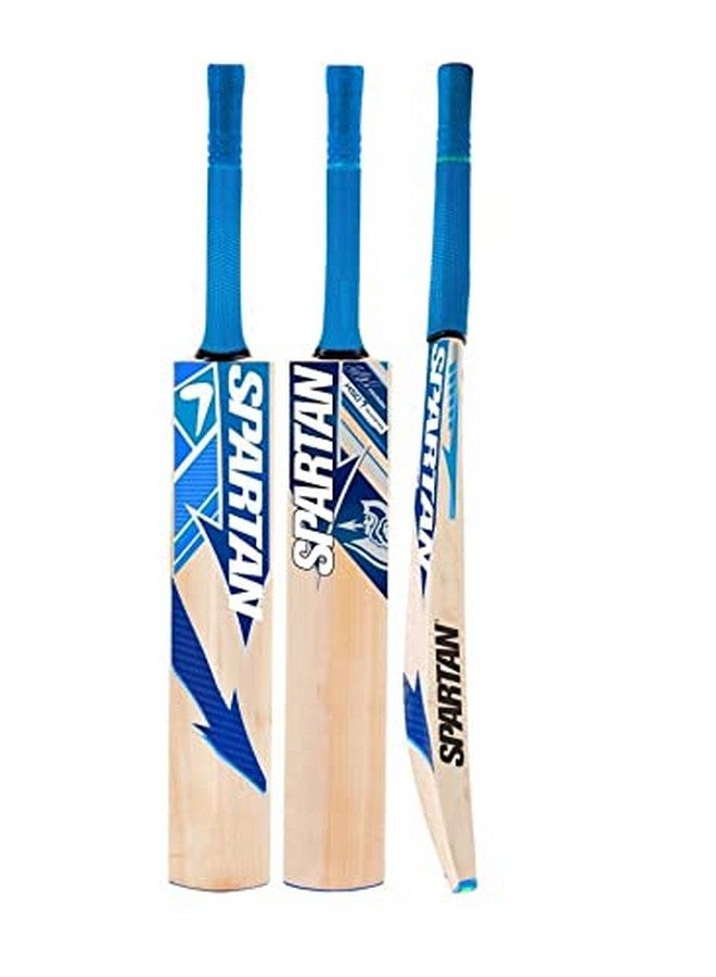 توسكا مضرب الكريكيت بالحجم الكامل من Willow Spartan الشهير لكرة التنس | كرة مطاطية | كرة بلاستيكية (رجال | نساء) (أزرق) - Image 1