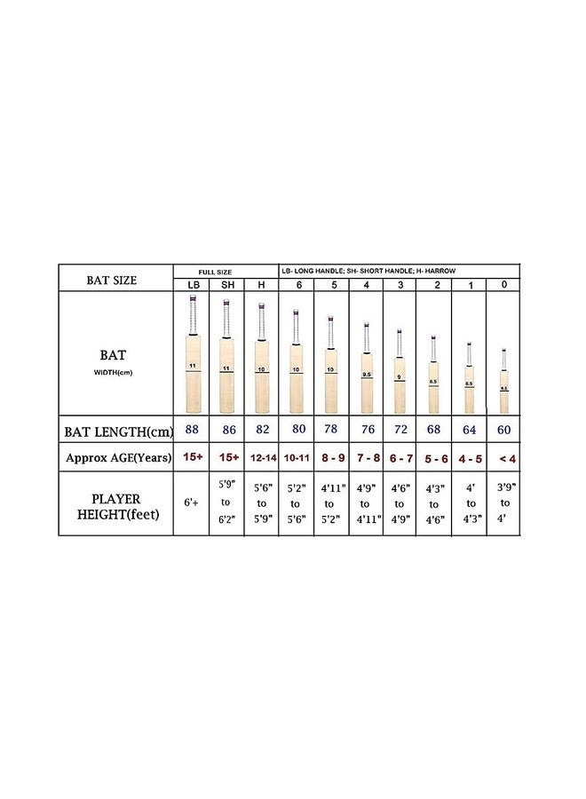 توسكا مضرب الكريكيت بالحجم الكامل من Willow Spartan الشهير لكرة التنس | كرة مطاطية | كرة بلاستيكية (رجال | نساء) (أزرق) - Image 3