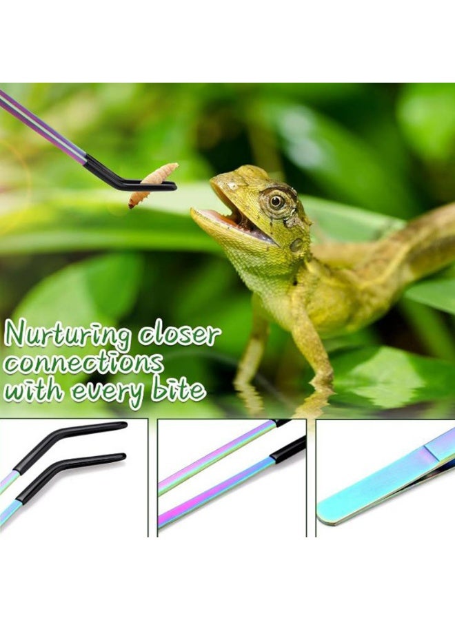 2PCS Stainless Steel Reptile Feeding Tongs, 27cm Straight & Curved, for Bearded Dragon, Snake Tanks, Aquariums & Crafts - Image 3
