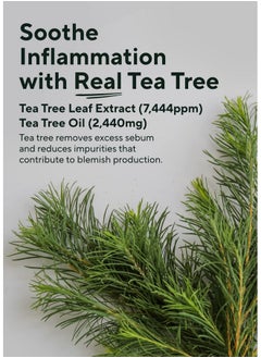 AROMATICA AROMATICA Tea Tree Balancing Foaming Cleanser 6.35oz / 180g, Vegan Double Cleanser Face Wash For Oily Skin, EWG Verified  - Image 5