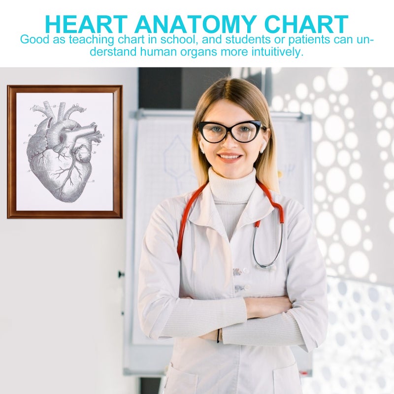 1pc Human Organ Chart Living Room Decorative Painting Heart Drawing - Image 5