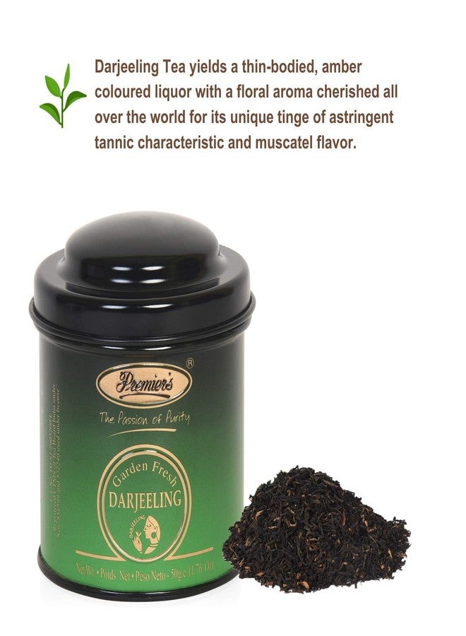 Premiers 3 in 1 Tea Gift Set | 75 Cups | 150 Grams | Elegant Domed Metal Caddy | Darjeeling Black Tea + Assam Tea + Nilgiri Tea | PMP Series - Image 2