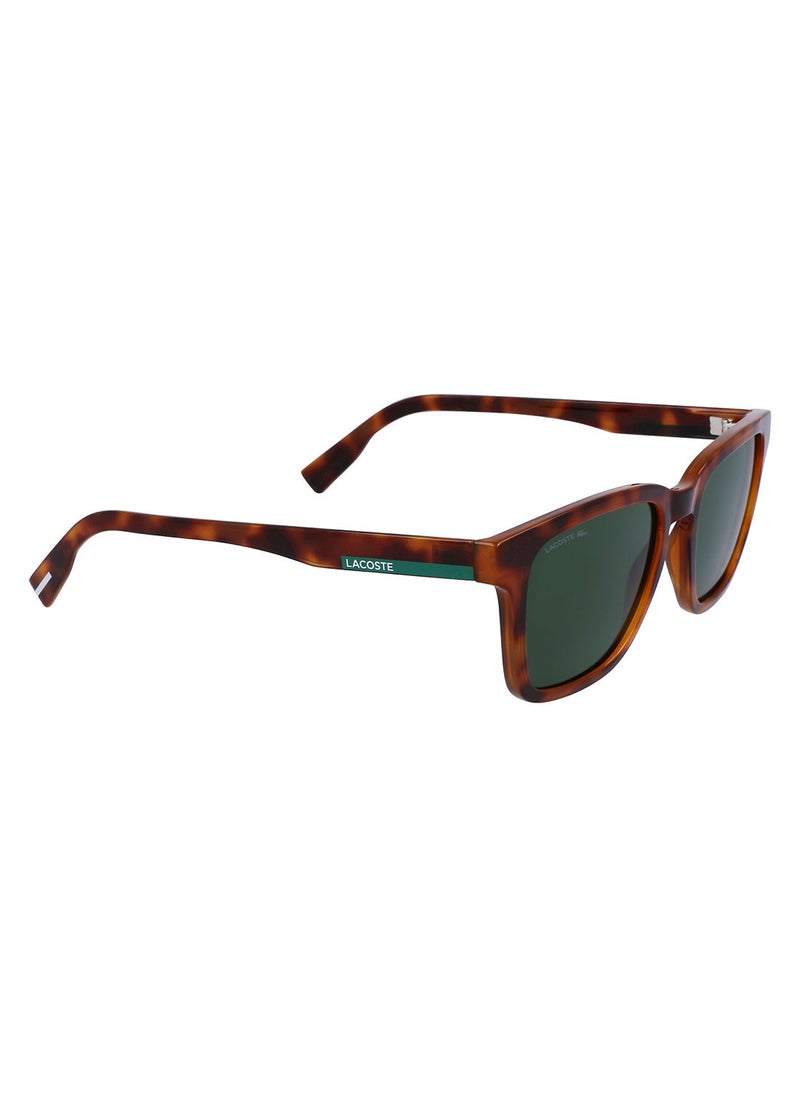 LACOSTE مستطيل حقن حيوي كامل الحواف لاكوست صنز L987S 5319 (240) سلحفاة  - Image 2