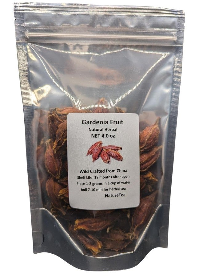 Nature Tea Gardenia Fruit - Dried Gardenia Fruit from 100% Nature (2 oz) - Image 2