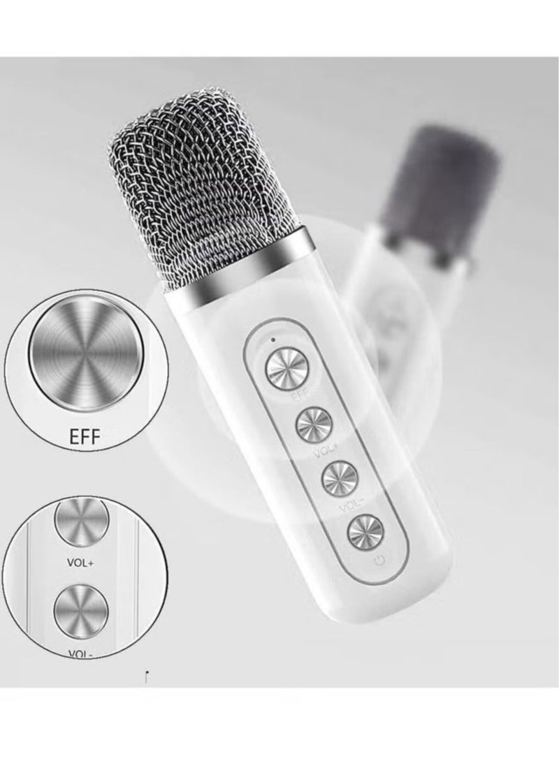 SU.YOSD YS-219 Karaoke Machine with 2 Wireless Microphones, Portable Bluetooth Speaker with LED Lights, Built-in FM Radio, Rechargeable Battery, Perfect for Parties, Home Entertainment, Singing & Music Lovers  - Image 3