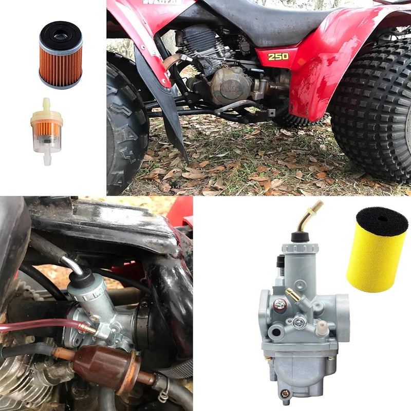 CDZWJ CDZ 250 Carburetor Kit with Air Filter, Oil Filter, and Fuel Gas Petcock for Yamaha Timberwolf YFB 250 (1992-2000) - Image 2