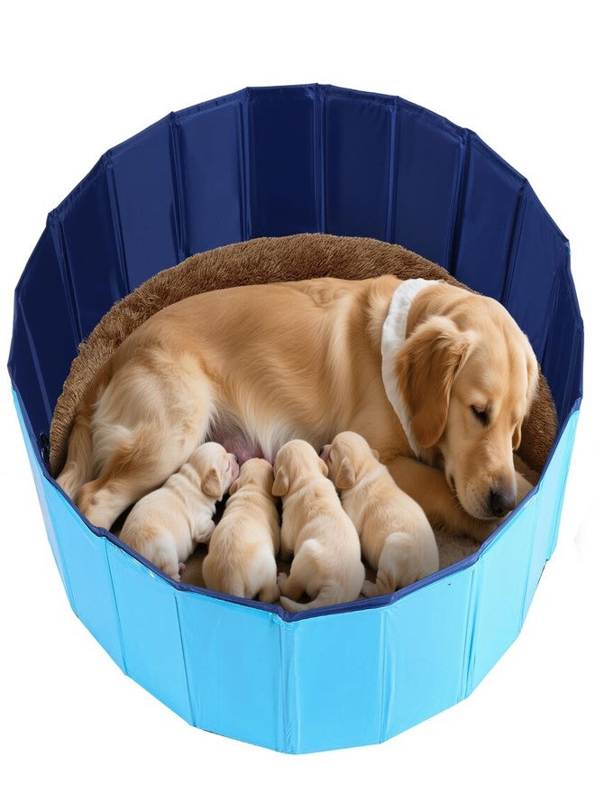 FLKQC Whelping Pen for Dogs, Foldable Birthing Pool for Dogs, Whelping Box for Dogs and Puppies, Poartable Plastic Swimming Pool & Bath Tub for Dogs (Blue) (39.4” Dia. × 11.8” H (100cm × 30cm)) - Image 1