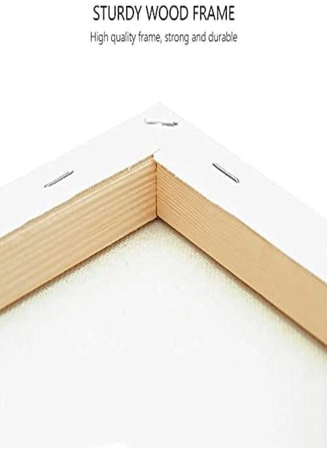 Painting Canvas Panels Multi Pack 100% Cotton with Recycled Board Core 30x60 cm
