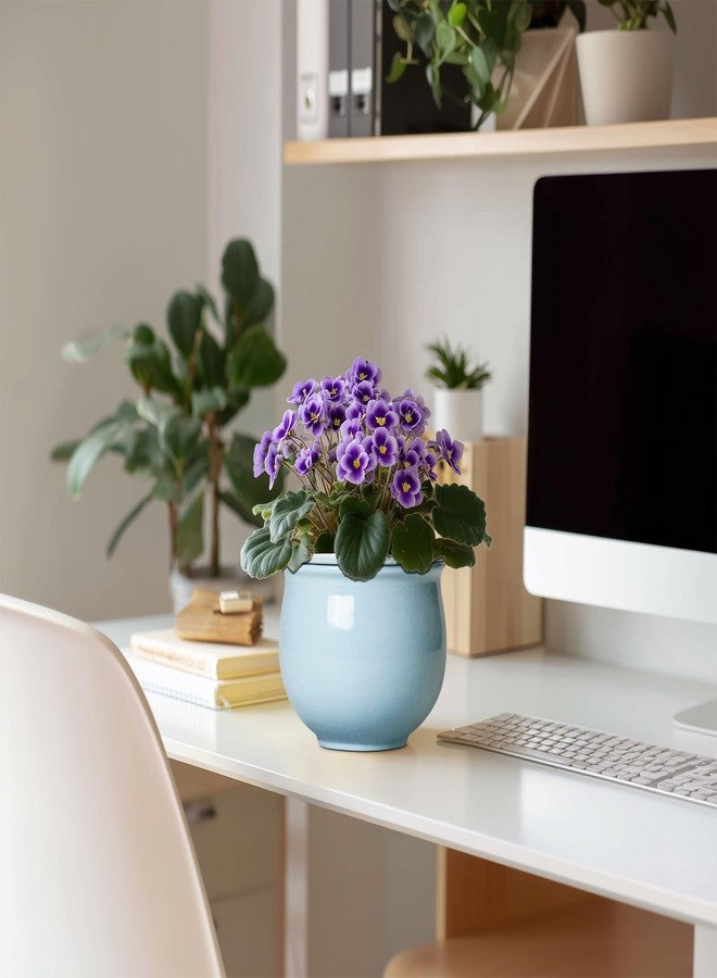Teagas Ceramic African Violet Pots for Indoor Plants, 6 Inch Self Watering Planters with Absorbent Inner Pot, Self Watering Plant Pot, Ceramic Flower Pots, Desk Decor, Housewarming Gifts, Light Blue - Image 3