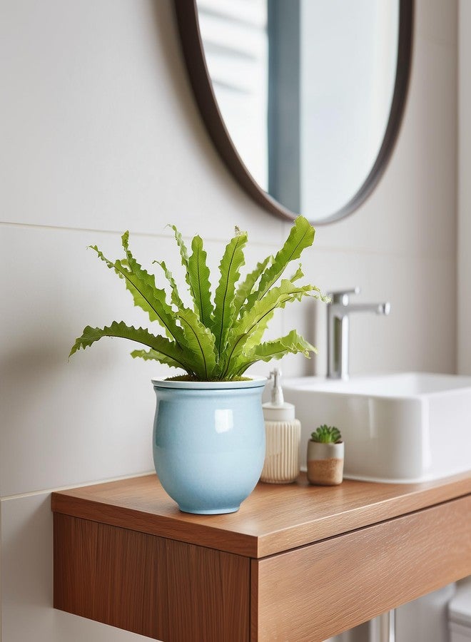 Teagas Ceramic African Violet Pots for Indoor Plants, 6 Inch Self Watering Planters with Absorbent Inner Pot, Self Watering Plant Pot, Ceramic Flower Pots, Desk Decor, Housewarming Gifts, Light Blue - Image 5