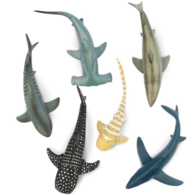 Toymany 6PCS 5-6" L Realistic Shark Bath Toy Figurines, Plastic Ocean Sea Animals Figures Set Includes Great White Shark Cake Toppers Christmas Birthday Gift for Kids Toddlers - Image 2