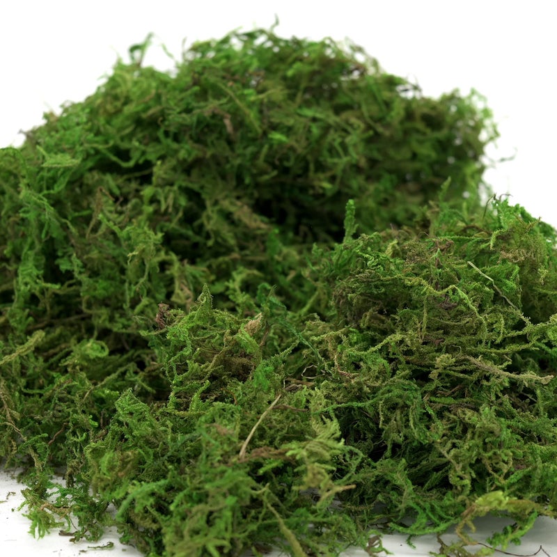 USMOLA Artificial Moss 16oz â€“ Fake Moss for Crafts, Fairy Gardens, Wedding & Party Decor, Centerpieces & Potted Plants (Fresh Green, 455g) - Image 5
