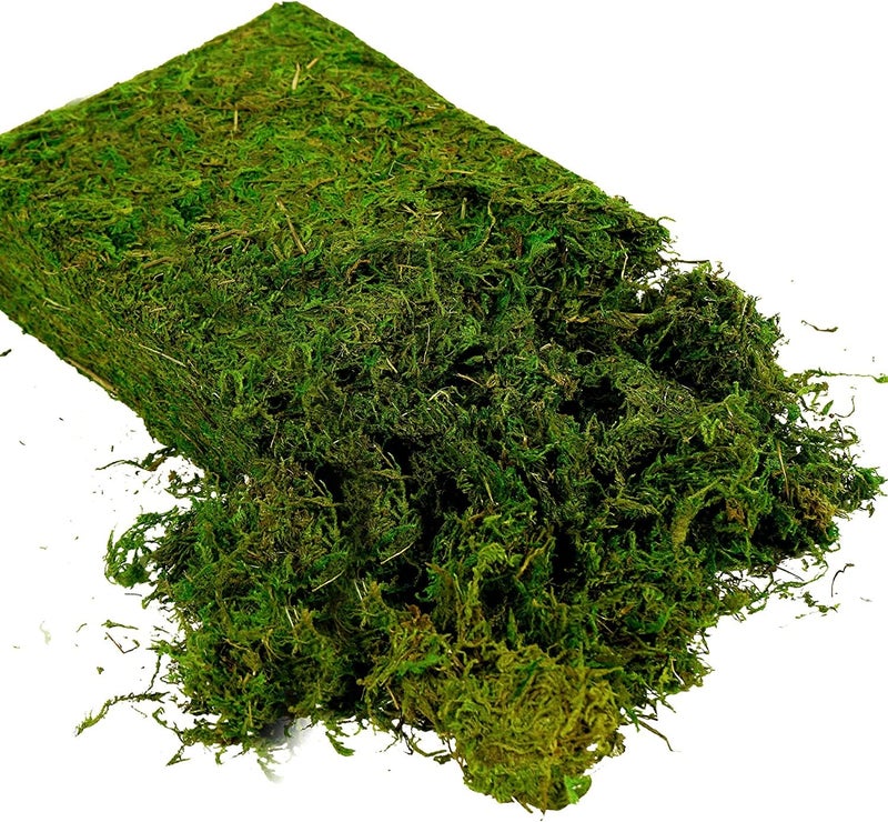 USMOLA Artificial Moss 16oz â€“ Fake Moss for Crafts, Fairy Gardens, Wedding & Party Decor, Centerpieces & Potted Plants (Fresh Green, 455g) - Image 3