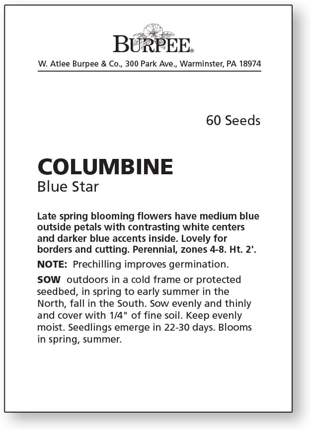 Burpee Blue Star Columbine Seeds 60 seeds - Image 4
