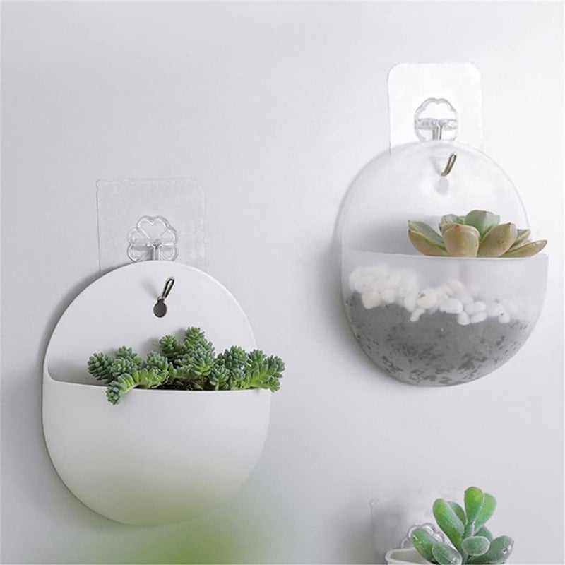RASIKVAR Transparent Plastic Flower Pot Container Wall Hanging Flower Pot Vase Pot Container Wall Mount Sticky Flower Pot Wall Decorative Pot for Home Office Kitchen 1pcs Cone 1pcs Round - Image 1