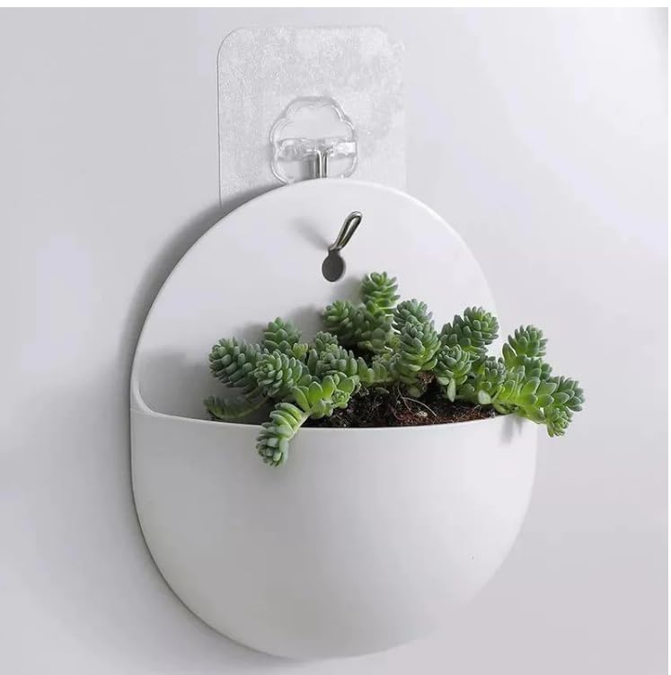 RASIKVAR Transparent Plastic Flower Pot Container Wall Hanging Flower Pot Vase Pot Container Wall Mount Sticky Flower Pot Wall Decorative Pot for Home Office Kitchen 1pcs Cone 1pcs Round - Image 3