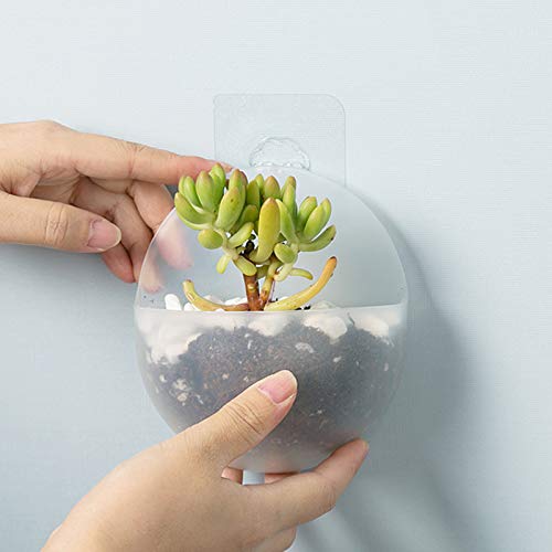 RASIKVAR Transparent Plastic Flower Pot Container Wall Hanging Flower Pot Vase Pot Container Wall Mount Sticky Flower Pot Wall Decorative Pot for Home Office Kitchen 1pcs Cone 1pcs Round - Image 5