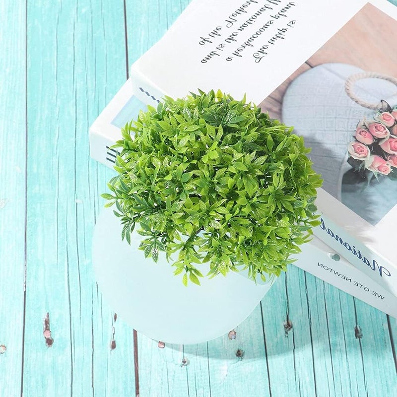 RASIKVAR Transparent Plastic Flower Pot Container Wall Hanging Flower Pot Vase Pot Container Wall Mount Sticky Flower Pot Wall Decorative Pot for Home Office Kitchen 1pcs Cone 1pcs Round - Image 2
