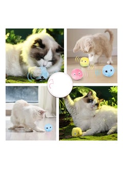 Y&D Cat Toy Ball, Interactive for Indoor, Voice Molar Bite Resistant Relieve Gravity Kitten Catnip Chirping Balls Exercise, Kicker, Fluffy Plush Fun Kitty (Pack of 3)  - Image 5