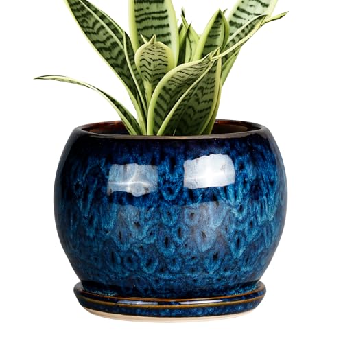SQOWL 6 Inch Plant Pot - Ceramic Planter Pot with Drainage Hole and Saucer, Succulent Pot Round Flower Pot for Indoor Plants Outdoor, Blue - Image 1