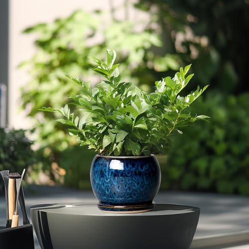 SQOWL 6 Inch Plant Pot - Ceramic Planter Pot with Drainage Hole and Saucer, Succulent Pot Round Flower Pot for Indoor Plants Outdoor, Blue - Image 4