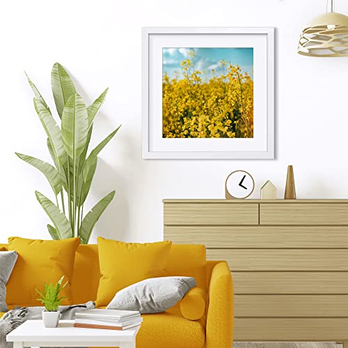 THREELOVE 16x16 Frame White, Display Picture 12x12 with mat or 16x16 Without mat, Photo Poster Picture Frame Wall Mounting Home Decor, 3 PCS - Image 4