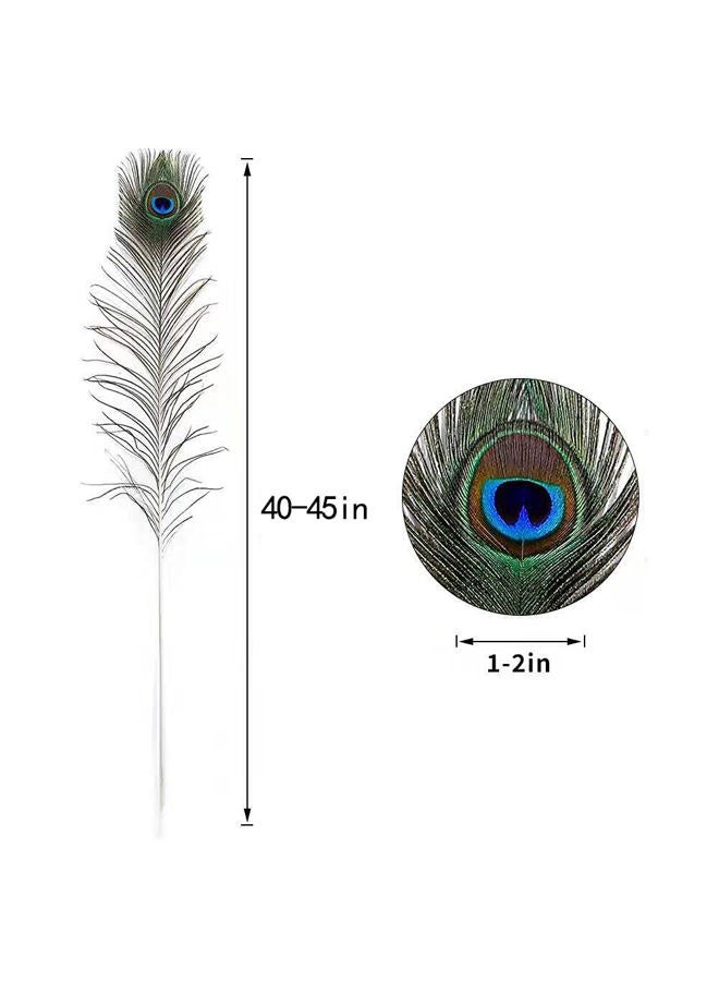 Ballinger 20pcs Natural Peacock Feathers Long Pole Bulk 40-45 inch for DIY Craft, Wedding Holiday Decorationn and Floral Arrangement - Image 4