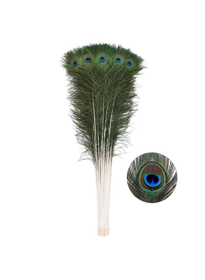 Ballinger 20pcs Natural Peacock Feathers Long Pole Bulk 40-45 inch for DIY Craft, Wedding Holiday Decorationn and Floral Arrangement - Image 1