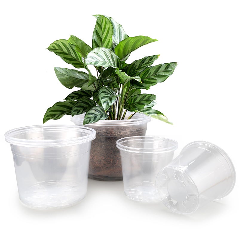 FUOAUYK 7810 Inch Large Clear Nursery Pots with Drainage 9 Pack Plastic Pots for Plants Clear Plant Seedling Pots for Indoor Outdoor Gardening 7 8 10 inch - Image 2