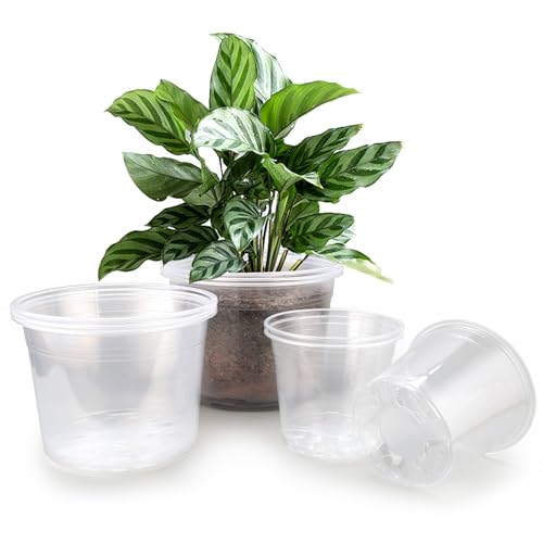 FUOAUYK 7810 Inch Large Clear Nursery Pots with Drainage 9 Pack Plastic Pots for Plants Clear Plant Seedling Pots for Indoor Outdoor Gardening 7 8 10 inch - Image 1