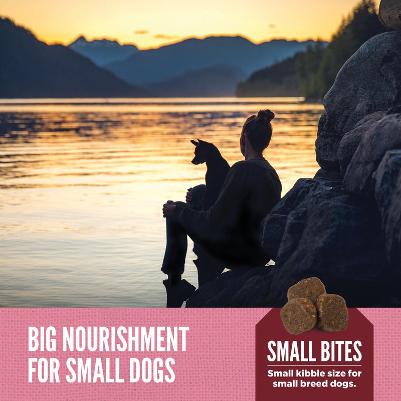 ORIJEN Amazing Grains High Protein Dry Dog Food Small Breed Recipe 4lb Bag - Image 5