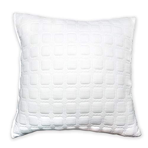 dream FACTORY Dreamfactory Fiber Pillow Cushion Filler, 12 x 12 Inch, White, Set Of 2 - Image 1