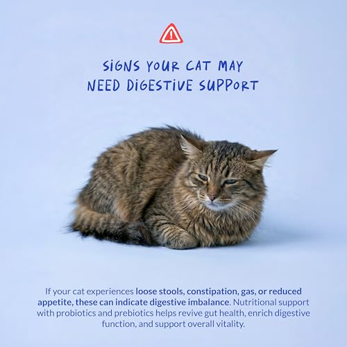 Coco and Luna Probiotics for Cats - Diarrhea & Gas Support - with Inulin and Prebiotics - Digestive Gut Health - Allergies, Constipation Support (Powder for Cats) - Image 4