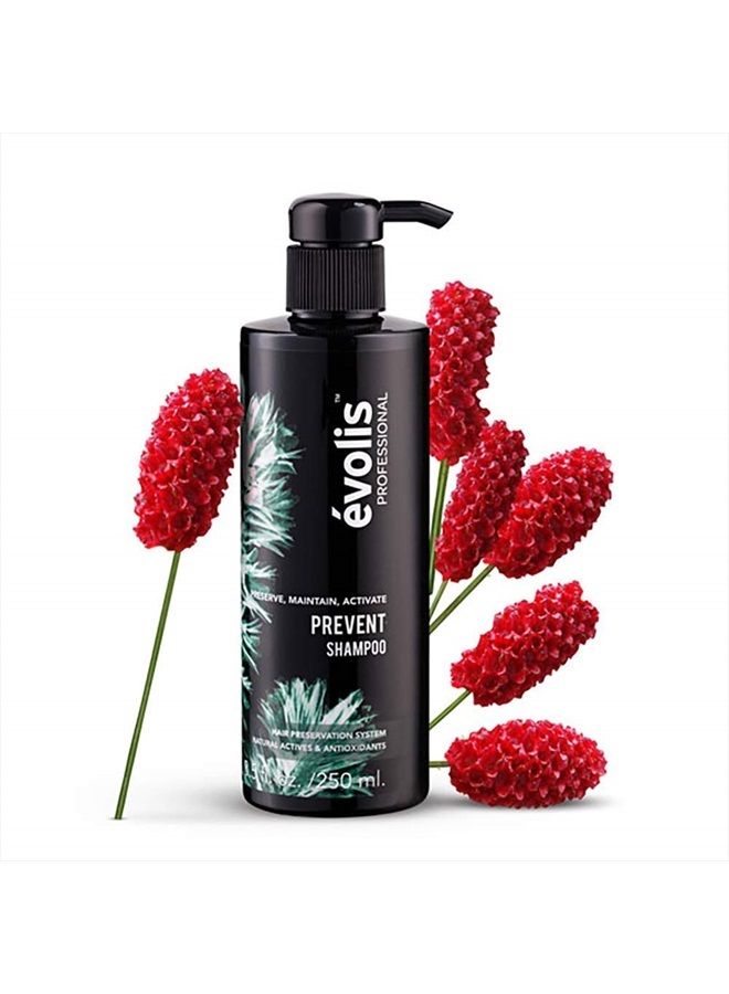 evolis شامبو إيفوليس PREVENT - شامبو مضاد لتساقط الشعر - شامبو تساقط الشعر للرجال والنساء - شامبو طبيعي لتساقط الشعر - علاج وقائي لتساقط الشعر (8.5 أونصة سائلة) - Image 2
