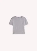 شايبس Grey