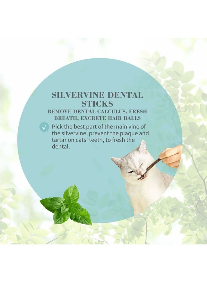 Bioline Catnip Dental Sticks Chew Treats with Natural Catnip for Dental Care & Fun For Cats 10g - Image 2