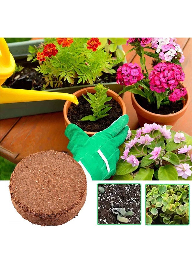 اتش واي مجموعة من 10 قطع من أقراص جوز الهند المضغوطة، ركيزة منخفضة الملوحة لتنمية الشتلات لزراعة الخضروات والفواكه (4x1.5 سم 0.6 لتر) - Image 3