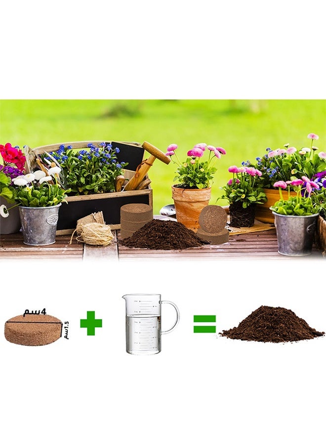 اتش واي مجموعة من 10 قطع من أقراص جوز الهند المضغوطة، ركيزة منخفضة الملوحة لتنمية الشتلات لزراعة الخضروات والفواكه (4x1.5 سم 0.6 لتر) - Image 5