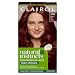 Clairol Natural Instincts DemiPermanent Hair Dye 5RR Medium Red AmmoniaFree Vegan Hair Color with Coconut Oil Aloe Vera Pack of 1 - Image 2