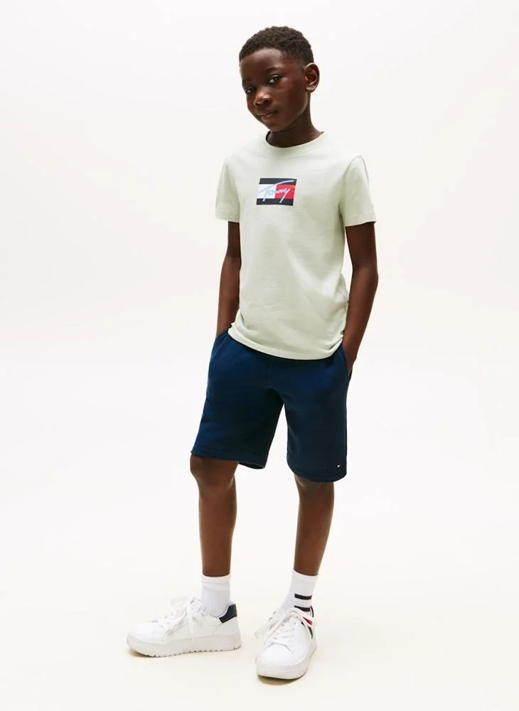 TOMMY HILFIGER Kids Script Flag Print Crew Neck T-Shirt