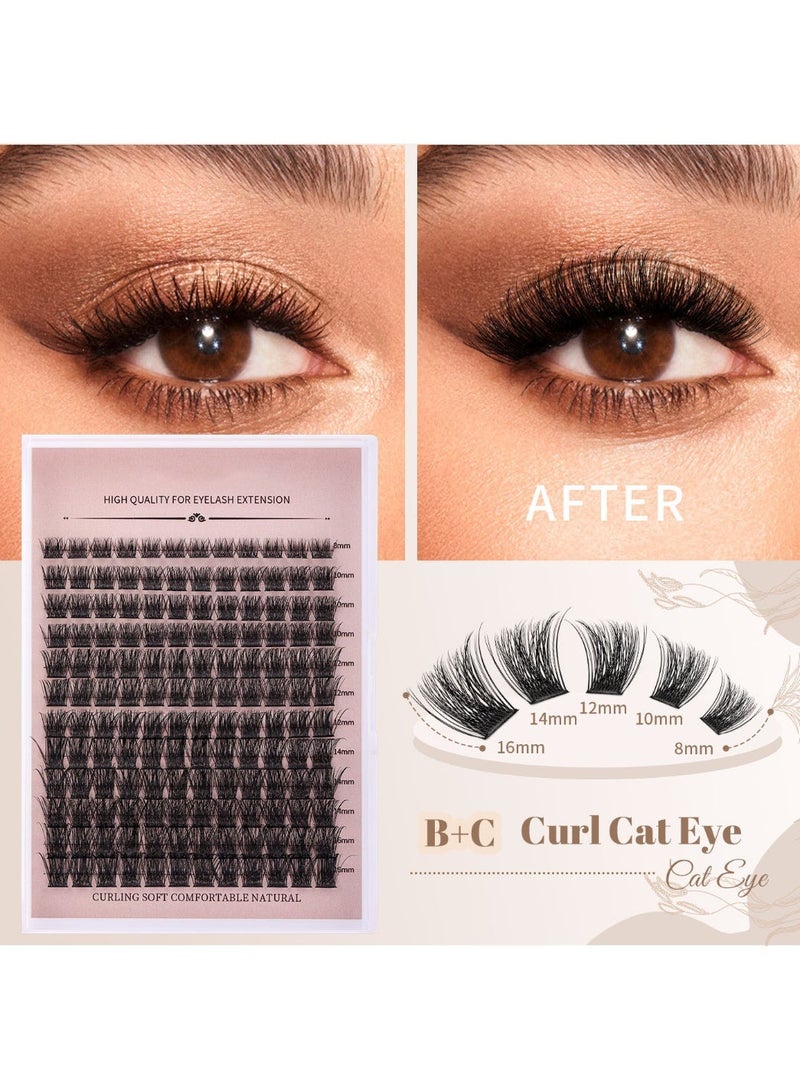 بيوتي بوكس مجموعات الرموش الرموش الرقيقة الممددة 144 قطعة رموش فردية مظهر رطب 8-16 مم تمديد الرموش DIY رموش صناعية ناعمة ومريحة مجموعات الرموش - Image 4