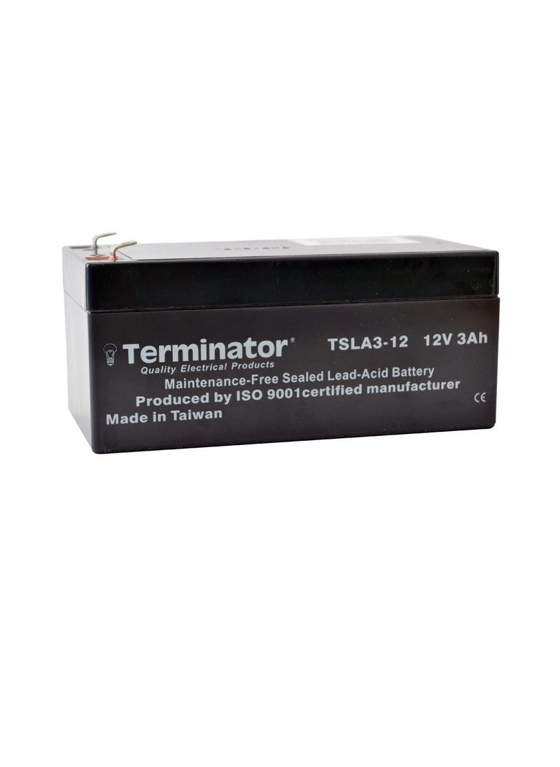 Terminator - Terminator SLA Battery 6V-1.2Ah TSLA 1.2-6 - Image 1