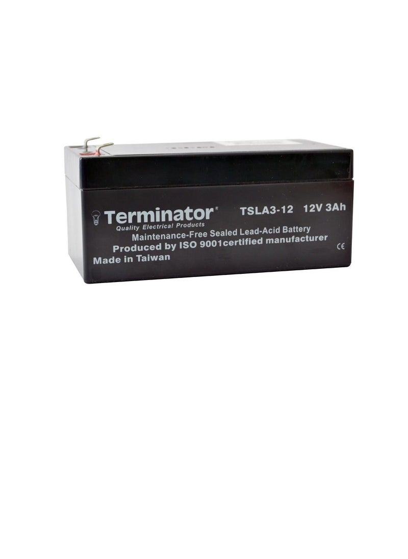 Terminator - Terminator SLA Battery 6V-1.2Ah TSLA 1.2-6 - Image 1