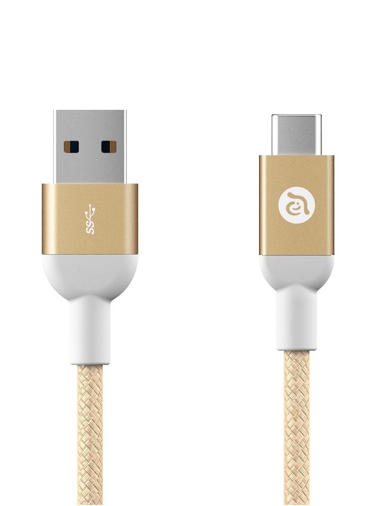 ADAM ELEMENTS ADAM ELEMENTS CASA M100 USB Type C Male to USB 3.0 Male Cable Metal Braid Gold  - Image 1