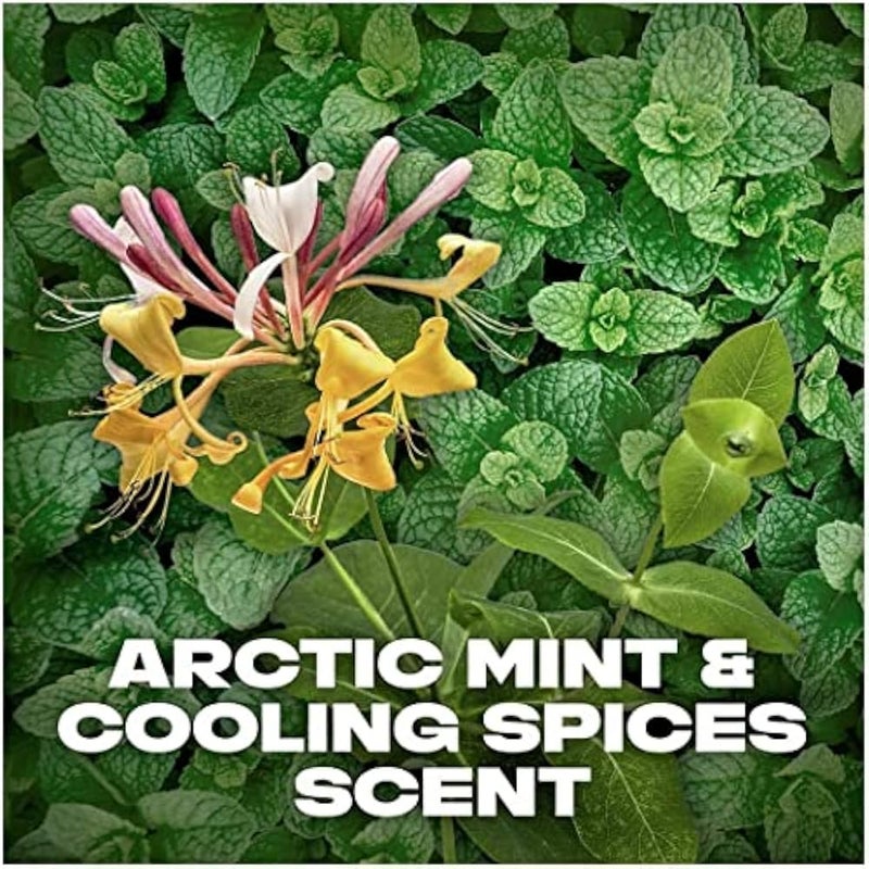 AXE Arctic Mint and Cooling Spices Odour Deodorant Body Spray Recharge (150ml) - Image 3