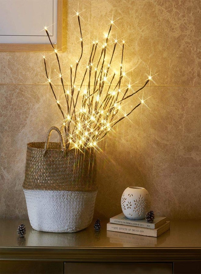 EAMBRITE 3PK Brown Lighted Twig Branches Pathway Light with 30" 60 LED Warm White Bulbs for Outdoor and Indoor - Image 3