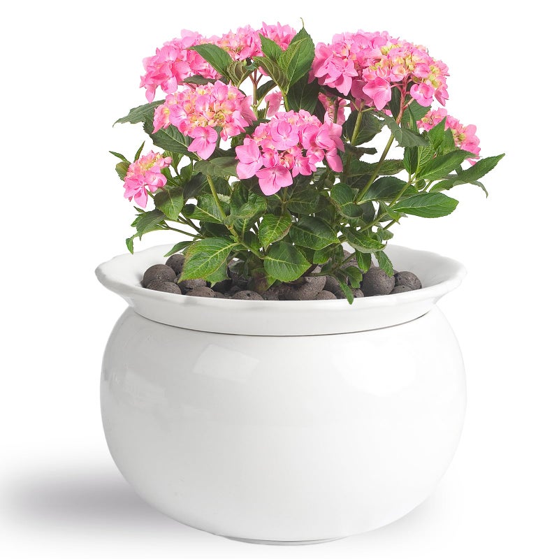 BUYMAX African Violet Pots 6 inch Ceramic Easy Self Watering Plant Pot for Busy Plant Lovers Automatically Absorb Appropriate Amount of Water Flower Pot IndoorPlants Not Included