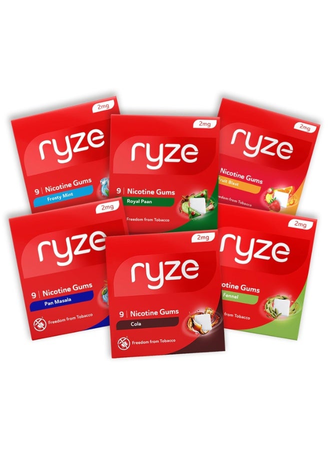 رايز علكة RYZE النيكوتينية المتنوعة/عبوة تجريبية، 54 قطعة – (6 نكهات * 9 علكات من كل نكهة) | خالية من السكر | معتمدة من إدارة الغذاء والدواء الأمريكية | تدعم الإقلاع عن التدخين | لطيفة على الحلق - Image 2